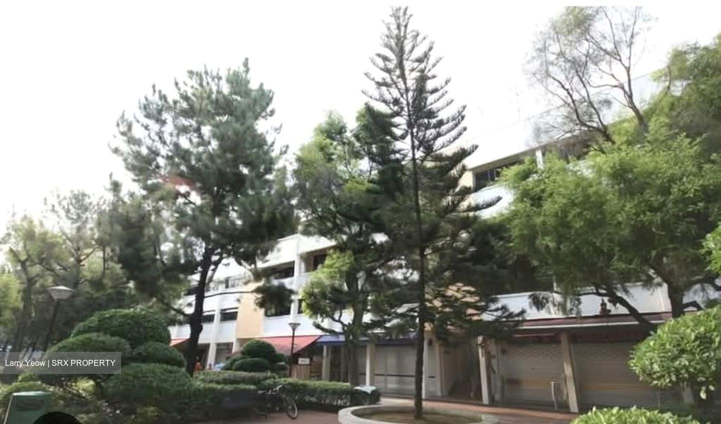 Pandan Gardens (D22), Shop House #529686531
